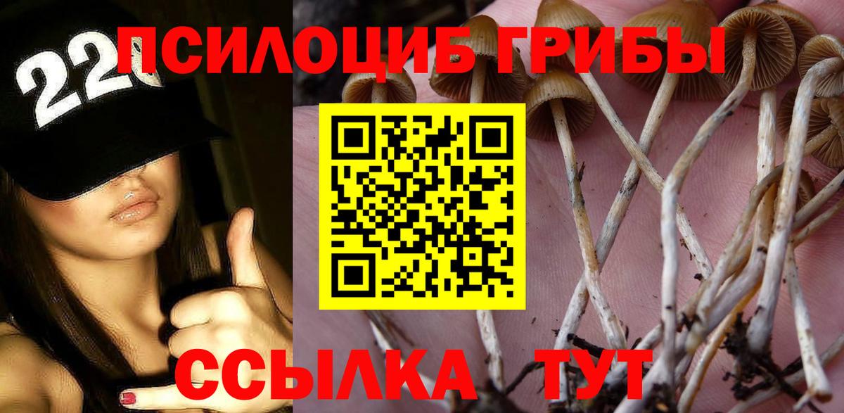Щёлково  Псилоцибиновые грибы Psilocybine cubensis  Вход с VPN 